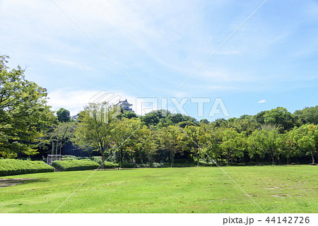 浜松城公園の中央芝生広場（静岡県浜松市中区） 44142726