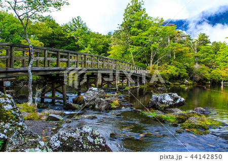 湯ノ湖　朝風景　【栃木県日光市湯元】 44142850