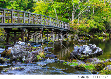 湯ノ湖　朝風景　【栃木県日光市湯元】 44142852