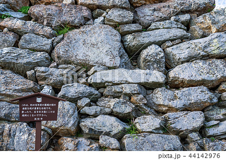 （静岡県）浜松城の石垣（野面積み） 44142976