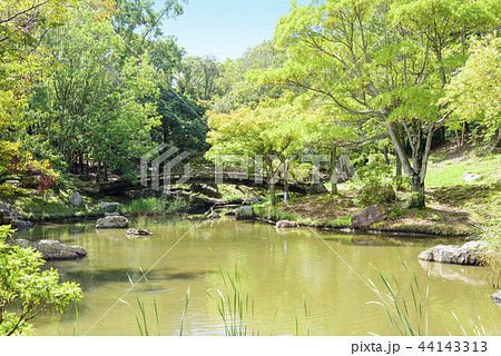 浜松城公園の日本庭園（静岡県浜松市中区） 44143313