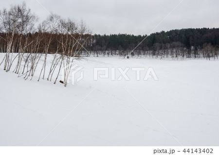 雪原 雪原 44143402