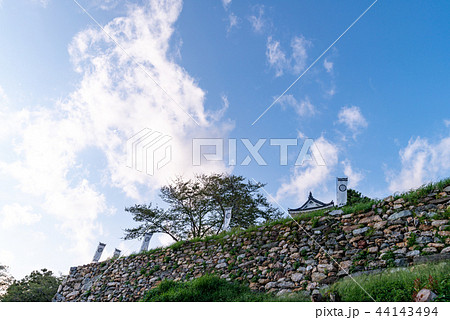 （静岡県）浜松城　石垣 44143494