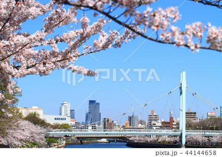 春の名古屋市 都市風景 春の名古屋市 都市風景 44144658
