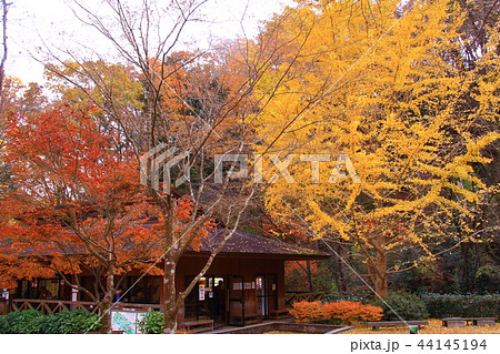 ほしだ園地(大阪府 交野市)山小屋風案内所 ほしだ園地(大阪府 交野市)山小屋風案内所 44145194