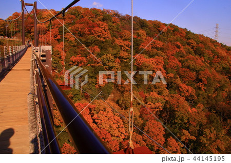 星のブランコ 大阪府 交野市 周辺の紅葉の写真素材