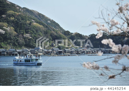 伊根町の春 44145254