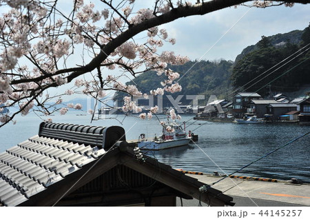 伊根の春 44145257