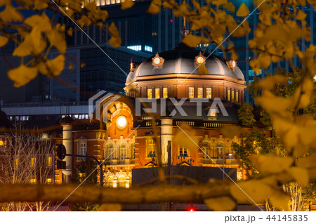 黄色いイチョウと夜の東京駅 黄色いイチョウと夜の東京駅 44145835