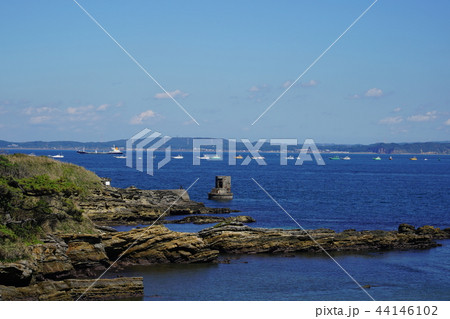 三浦半島 観音崎海岸 岩場 三浦半島 観音崎海岸 岩場 44146102