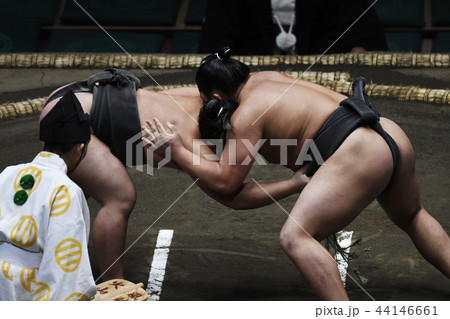 相撲イメージ　力士　まわし　裸　角界　相撲取り　お相撲さん 44146661