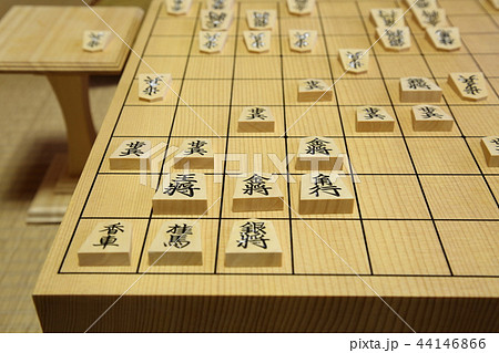 将棋 44146866