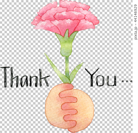 [Mother's Day] Watercolor illustration of a hand holding a carnation (with handwritten thank you text) 44146929