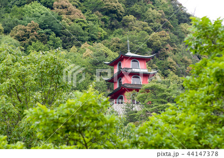 権現山山腹の多宝塔 44147378