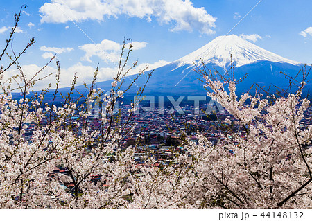 富士山　桜 44148132