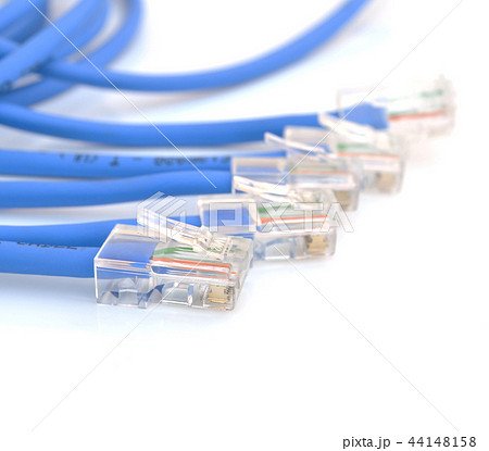 blue computer ethernet cable on white background blue computer ethernet cable on white background 44148158