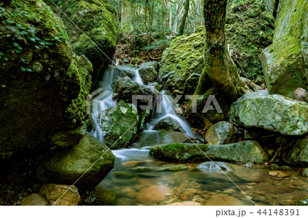 寒霞渓の水流 44148391