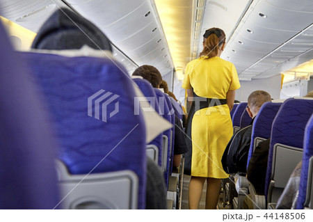 blurred flying attendants ,air hostess 44148506