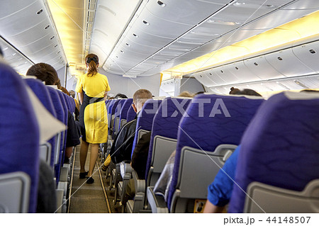 blurred flying attendants ,air hostess 44148507