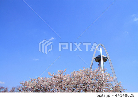 一宮市 ツインアーチ138と桜 一宮市 ツインアーチ138と桜 44148629