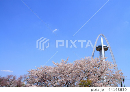 一宮市 ツインアーチ138と桜 一宮市 ツインアーチ138と桜 44148630