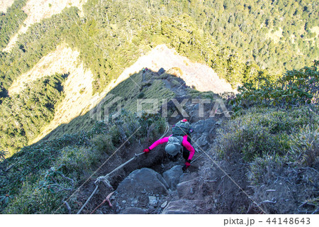アルプ 高山 高峰 44148643
