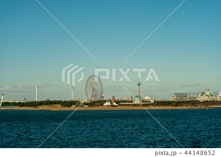 東京湾　都市風景　舞浜より撮影 44148652