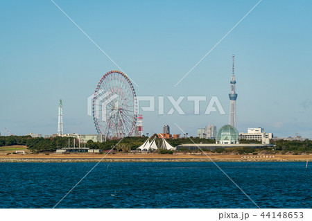 東京湾　都市風景　舞浜より撮影 44148653