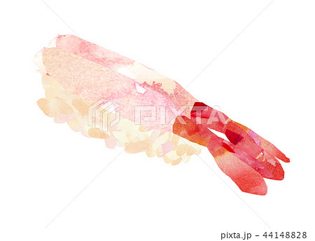 すしシリーズ・甘エビ 44148828