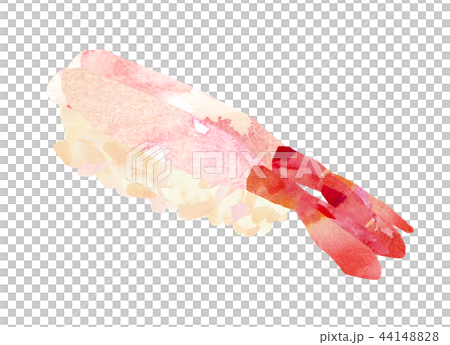 すしシリーズ・甘エビ 44148828