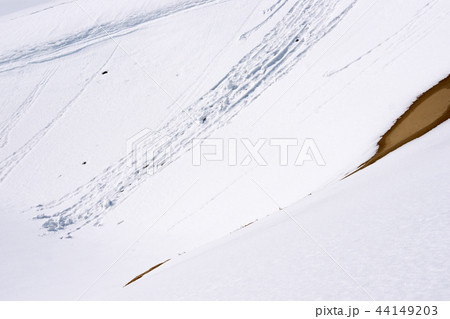 鳥取　四季の散歩　冬　鳥取砂丘 44149203