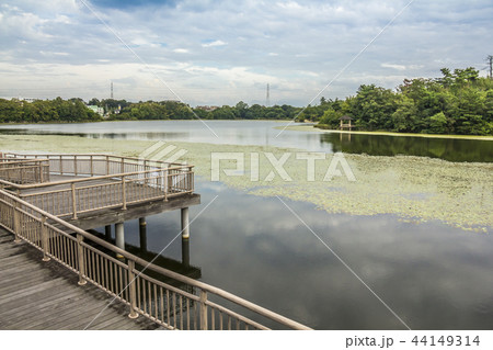 愛知県 名古屋市 牧野ヶ池緑地 愛知県 名古屋市 牧野ヶ池緑地 44149314