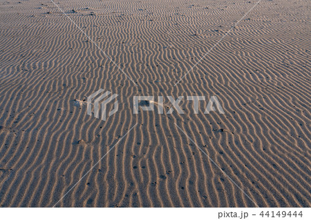（静岡県）中田島砂丘の風紋 44149444