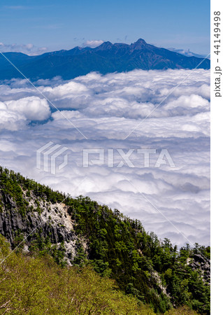 雲海と八ヶ岳 鳳凰三山よりの写真素材 [44149498] - PIXTA