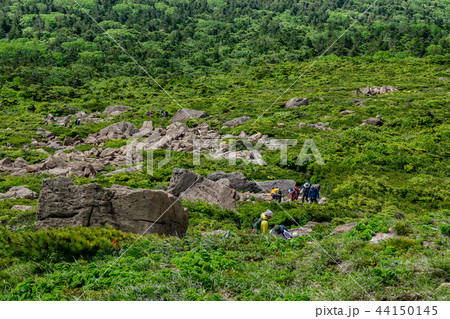 早池峰を降りる登山者 早池峰を降りる登山者 44150145