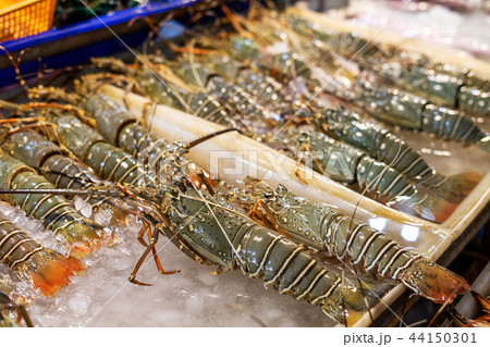Fresh lobsters on ice for sale at local market Fresh lobsters on ice for sale at local market 44150301