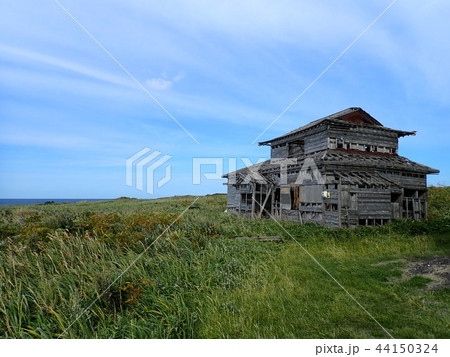 映画のワンシーン 44150324