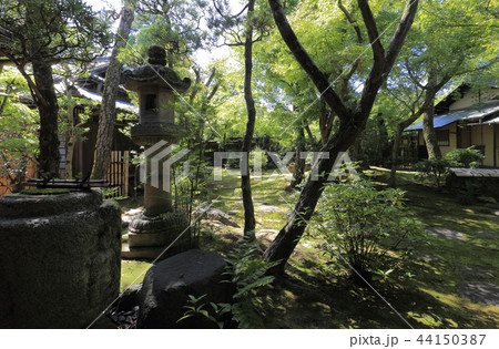 倉敷美観地区の大原本邸（大原邸）（離れ座敷から眺める庭） 44150387
