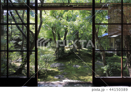 倉敷美観地区の大原本邸（大原邸）（離れ座敷から眺める庭） 44150389