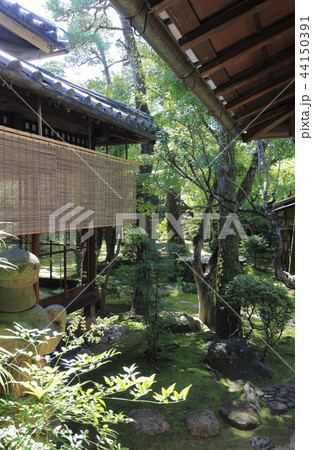 倉敷美観地区の大原本邸(大原邸)(離座敷と庭) 倉敷美観地区の大原本邸(大原邸)(離座敷と庭) 44150391