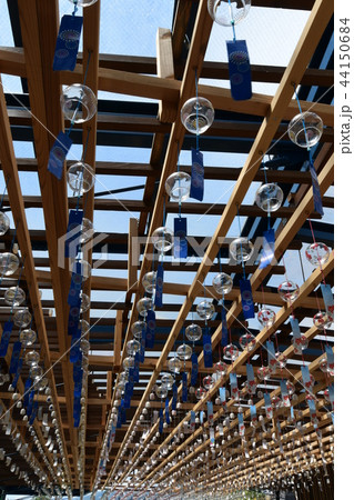 沢山の風鈴 沢山の風鈴 44150684