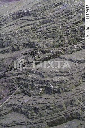 信州 松本の天然記念物 岩岡の火打岩(ひうちいわ)拡大  明神岩として祀られる 信州 松本の天然記念物 岩岡の火打岩(ひうちいわ)拡大  明神岩として祀られる 44150958