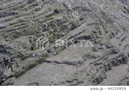 信州 松本の天然記念物 岩岡の火打岩(ひうちいわ)拡大 明神岩として祀られる 信州 松本の天然記念物 岩岡の火打岩(ひうちいわ)拡大 明神岩として祀られる 44150959