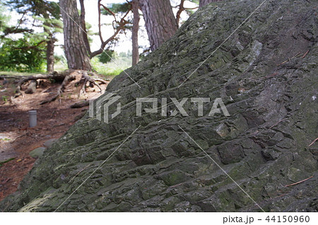信州 松本の天然記念物 岩岡の火打岩(ひうちいわ) 明神岩として祀られる 信州 松本の天然記念物 岩岡の火打岩(ひうちいわ) 明神岩として祀られる 44150960