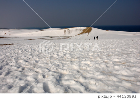 鳥取　四季の散歩　冬　鳥取砂丘 44150993