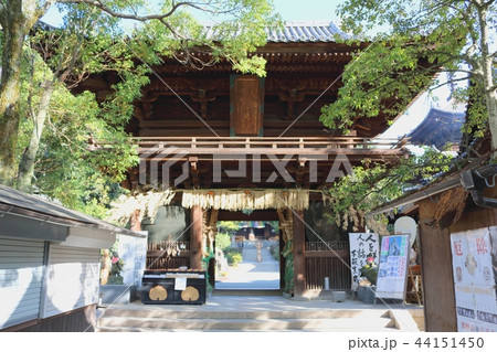 四国霊場第51番札所 石手寺 仁王門 四国霊場第51番札所 石手寺 仁王門 44151450