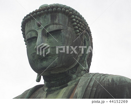 鎌倉大仏(高徳院/神奈川県鎌倉市長谷) 鎌倉大仏(高徳院/神奈川県鎌倉市長谷) 44152269
