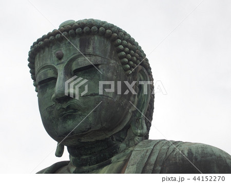 鎌倉大仏（高徳院／神奈川県鎌倉市長谷） 44152270