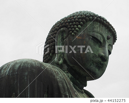 鎌倉大仏（高徳院／神奈川県鎌倉市長谷） 44152275