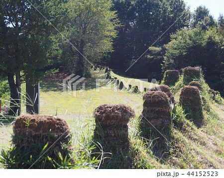 史跡・猪俣百八燈（埼玉県児玉郡美里町猪俣） 44152523